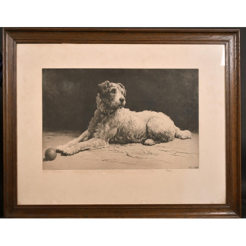 117 - Herbert Thomas Dicksee (1862-1942) British. “Ready” (Terrier), Etching, 13” x 21.5” (33 x 54.6cm)