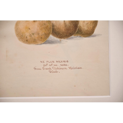 60 - 19th Century English School. “Ne Plus Meuris”, Watercolour, Inscribed ‘from Frank Dickinson, Westerh... 