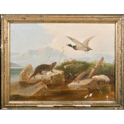 88 - Circle of Robert Cleminson (act.c.1864-c.1903) British. A River Scene with an Otter and a Duck, Oil ... 