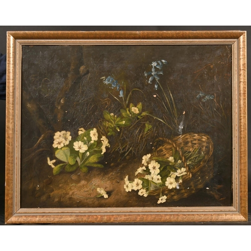 90 - 19th Century English School. Primroses with a Wicker Basket, Oil on Canvas, 15.25” x 20” (38.7 x 50.... 