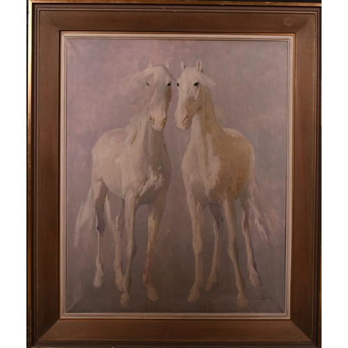 245 - Ricardo Arenys (1914-1977) Spanish. ‘White Stallions’, Oil on Canvas, Signed, 36” x 28.5” (91.5 x 72... 