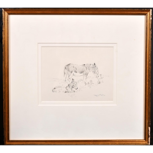 270 - Frederick Hall (1860-1948) British. Study of Two Donkeys, Pencil, Signed, 6.5” x 8.5” (16.5 x 21.5cm... 