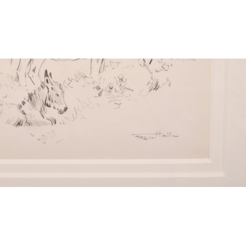 270 - Frederick Hall (1860-1948) British. Study of Two Donkeys, Pencil, Signed, 6.5” x 8.5” (16.5 x 21.5cm... 
