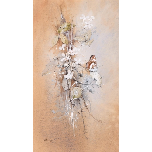 302 - Gordon George Beningfield (1936-1998) British. “White Admiral”, Watercolour, Signed, and Inscribed o... 