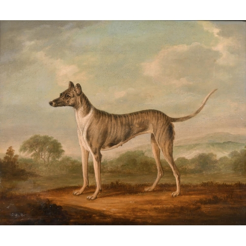 169 - Early 19th Century English School. Study of a Dog in a Landscape, Oil on Panel, 10” x 12” (25.4 x 30... 