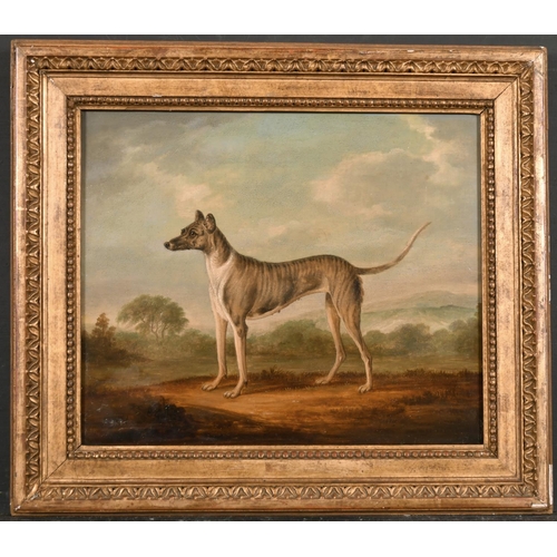 169 - Early 19th Century English School. Study of a Dog in a Landscape, Oil on Panel, 10” x 12” (25.4 x 30... 