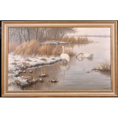 263 - Ronald Meilof (1953-2016) Dutch. A Winter River Scene with Swans, Oil on Canvas, Signed, 23.5” x 39.... 