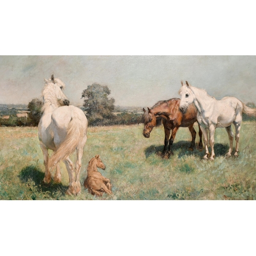 Lot 127       