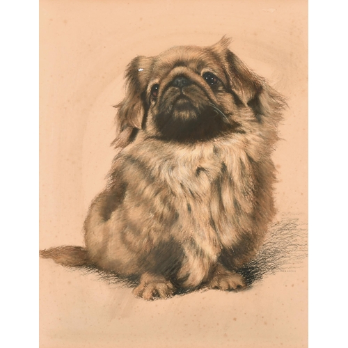 Lot 138       