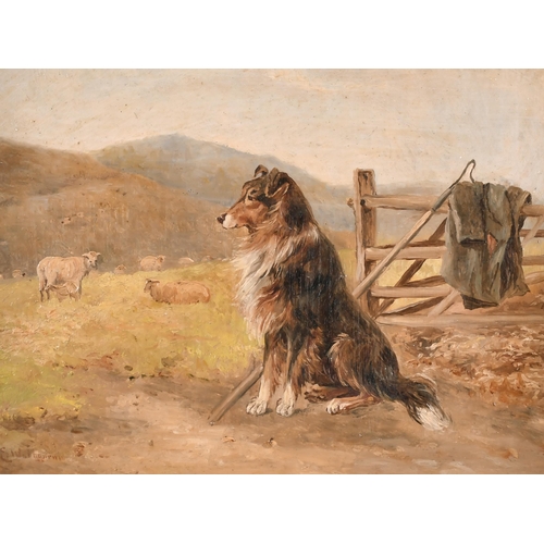 Lot 142       