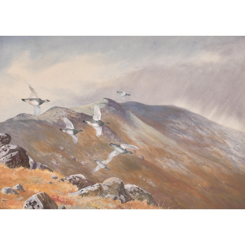 Lot 147       