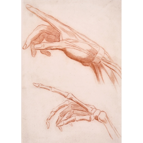 189 - 19th Century French School. Anatomical Studies of Hands, Sanguine, 11