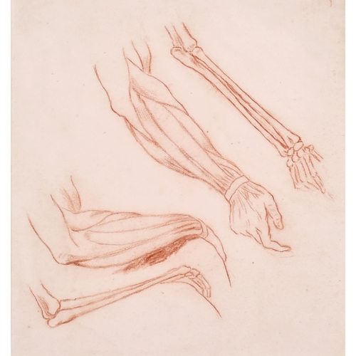 189 - 19th Century French School. Anatomical Studies of Hands, Sanguine, 11