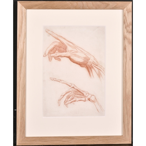 189 - 19th Century French School. Anatomical Studies of Hands, Sanguine, 11
