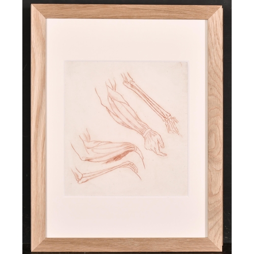 189 - 19th Century French School. Anatomical Studies of Hands, Sanguine, 11
