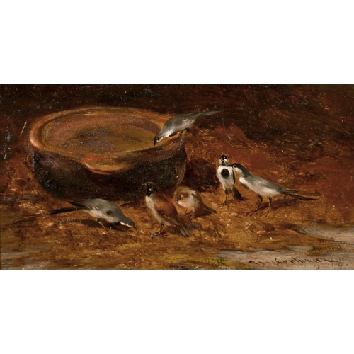 223 - Philibert Leon Couturier (1823-1901) French. 'Grey Wagtails at a Watering Trough', Oil on Panel, Sig... 