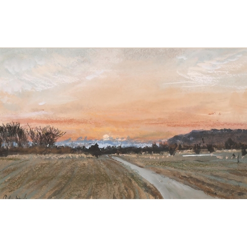 Lot 271       