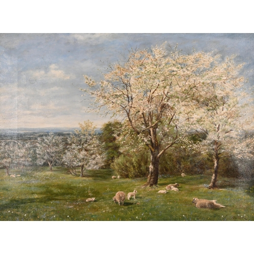 87 - Edward Archer (19th-20th Century) British. 