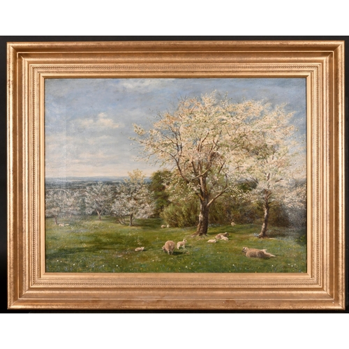 87 - Edward Archer (19th-20th Century) British. 