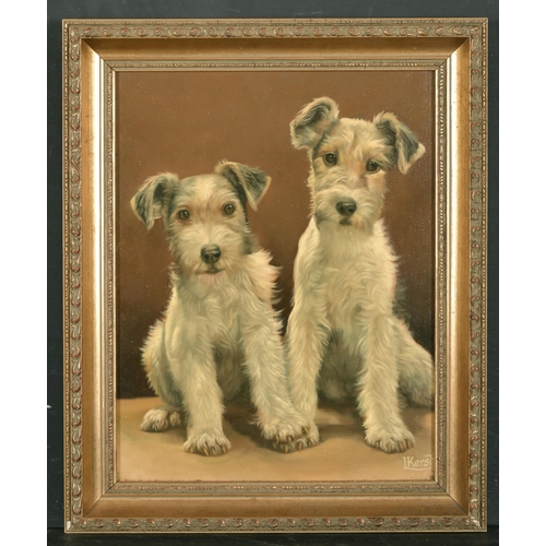 158 - L Kersh (20-21st Century) British. Study of Two Terriers, Oil on Canvas, Signed, and with the Studio... 