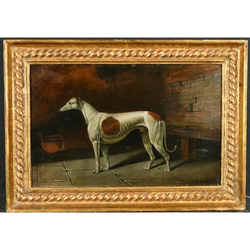 168 - Circle of Edwin Loder of Bath (1827-c.1885) British. A Greyhound in a Stable interior, Oil on Board,... 