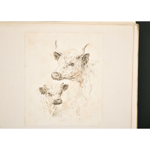 103 - Arthur Baker (19th-20th Century) British. Study of Cow and Calf, Ink, Signed with Monogram, Unframed... 