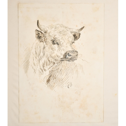 103 - Arthur Baker (19th-20th Century) British. Study of Cow and Calf, Ink, Signed with Monogram, Unframed... 