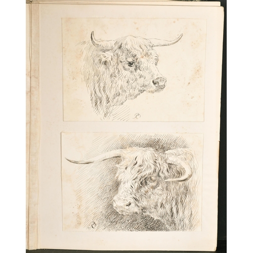 103 - Arthur Baker (19th-20th Century) British. Study of Cow and Calf, Ink, Signed with Monogram, Unframed... 