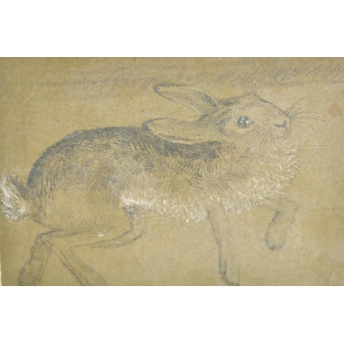 105 - Early 19th Century English School. A Study of a Hare, Pencil, Unframed 6