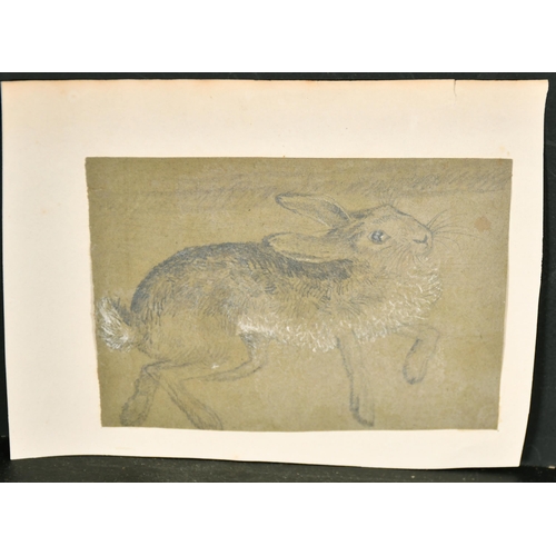 105 - Early 19th Century English School. A Study of a Hare, Pencil, Unframed 6