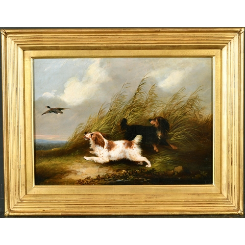 107 - George Armfield (1808-1893) British. Terriers Chasing a Rabbit, Oil on Canvas, 10