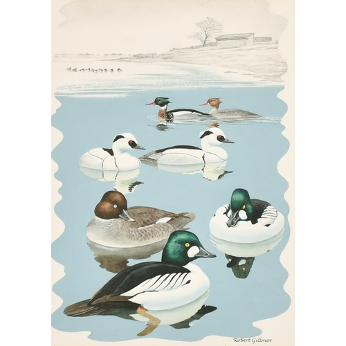 119 - Robert Gillmor (1936-2022) British. Ducks, Watercolour, Signed, and Inscribed on a label verso, 11