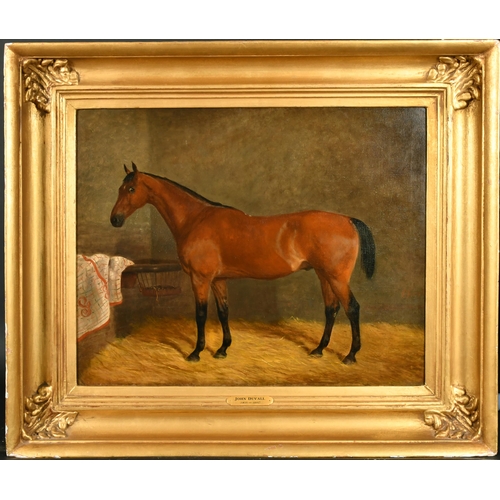 124 - John Duval (1816-1892) British. A Hunter in a Stable, Oil on Canvas, Signed, in a hollow gilt frame,... 