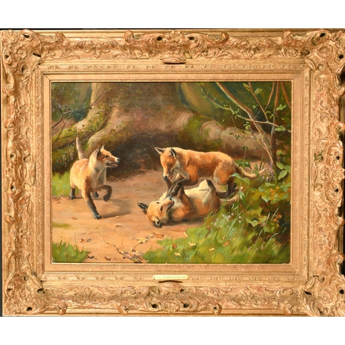 125 - Alfred Duke (1836-1915) British. Fox Cubs at Play, Oil on Canvas, Signed, 15