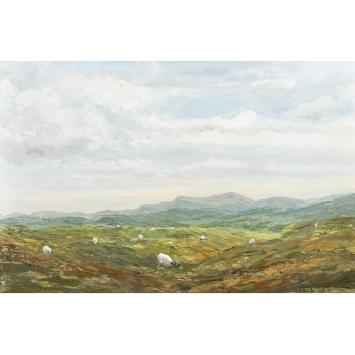 293 - Kip Combes (1924-2013) British. A Highland Landscape, Oil on Canvas, Signed, Unframed 24