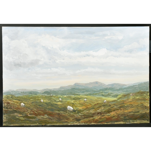 293 - Kip Combes (1924-2013) British. A Highland Landscape, Oil on Canvas, Signed, Unframed 24