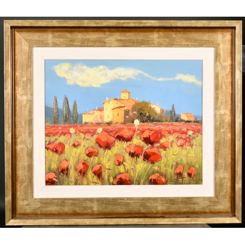 294 - Bruno Tinucci (1947-    ) Italian. Poppies in a Tuscan Landscape, Oil on Canvas, Signed, 15.75