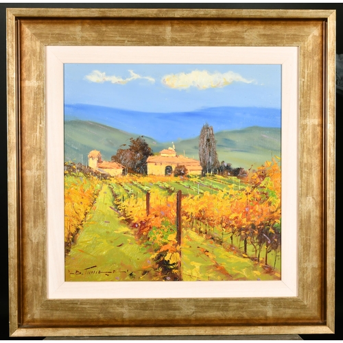 295 - Bruno Tinucci (1947-    ) Italian. A Tuscan Vineyard, Oil on Canvas, Signed,19.75