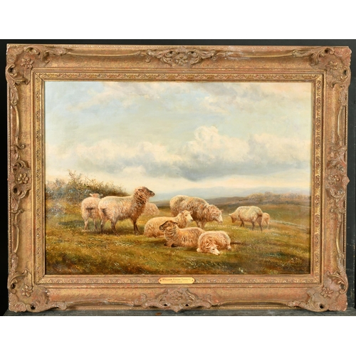 138 - William Vivian Tippett (1833-1910) British. Sheep in a Landscape, Oil on canvas, Signed and dated '9... 