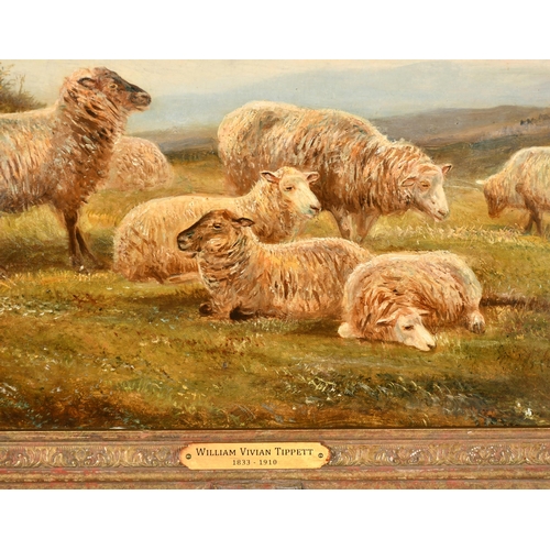 138 - William Vivian Tippett (1833-1910) British. Sheep in a Landscape, Oil on canvas, Signed and dated '9... 