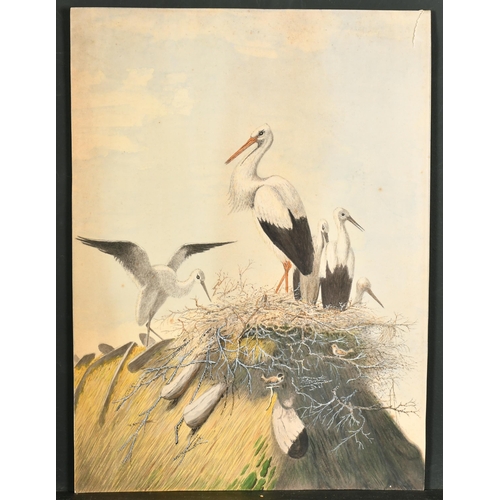 190 - 19th Century English School. A Stork's Nest, Watercolour, Unframed 15