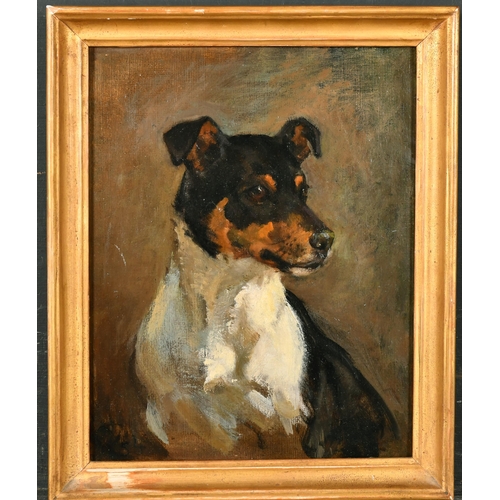 194 - Attributed to John Emms (1843-1912) British. Study of a Terrier, Oil on artist's board, Inscribed '5... 