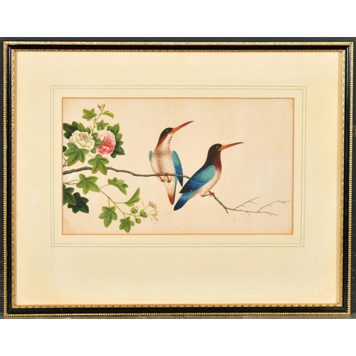 259 - 19th Century Chinese School. A Study of Oriental Birds, Watercolour on Pith Paper, 6.5