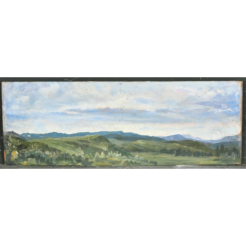 313 - 20th Century English School. A Panoramic Landscape, Oil on panel, Unframed 5