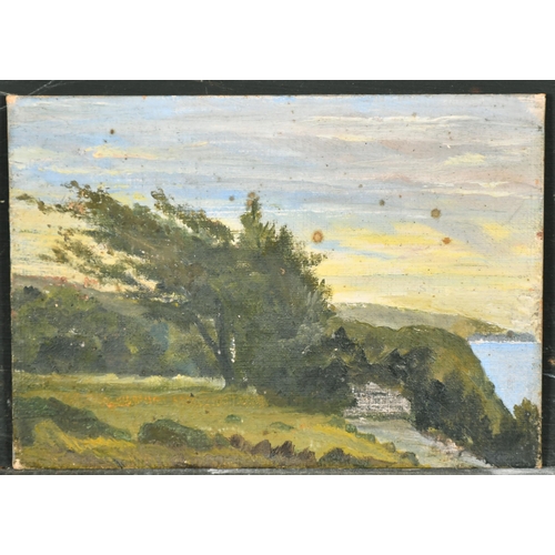 313 - 20th Century English School. A Panoramic Landscape, Oil on panel, Unframed 5