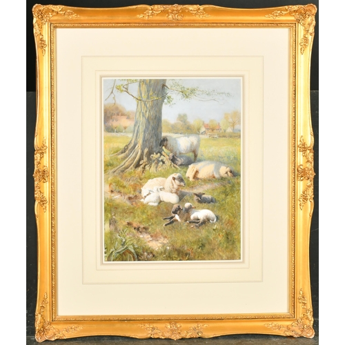 81 - Walter Bothams (c.1850-1914) British. Sheep Resting under a Tree, Watercolour, Signed, 14