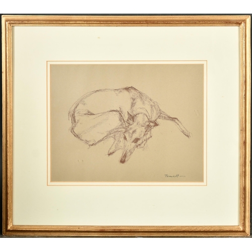 146 - Jonathan Trowell (1938-2013) British. Study of a Greyhound, Crayon, Signed in pencil, 9