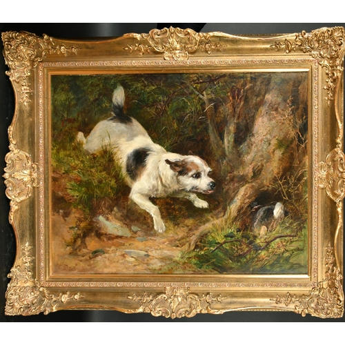 157 - Heywood Hardy (1842-1933) British. A Terrier by a Rabbit Hole, Oil on canvas, Signed and dated 1865,... 