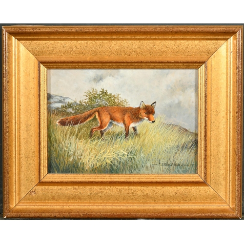 164 - Berrisford Hill (1930-    ) British. A Fox in a Landscape, Oil on board, Signed, 5.5