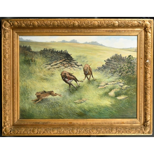 165 - Berrisford Hill (1930-    ) British. A Hare Coursing Scene, Oil on canvas, Signed, 25.75